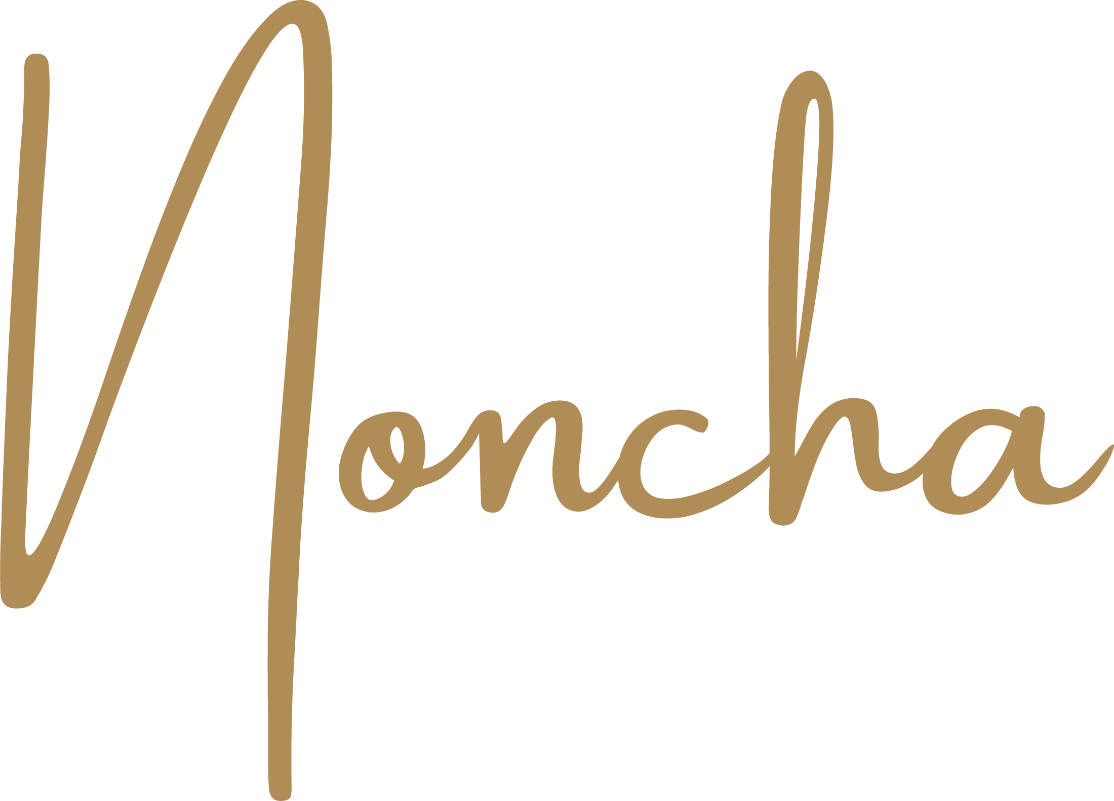 Noncha image